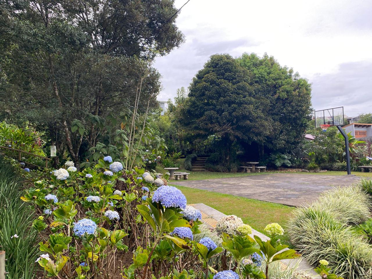 Vista aérea del Ecoresidencial Bello Monte entre montañas