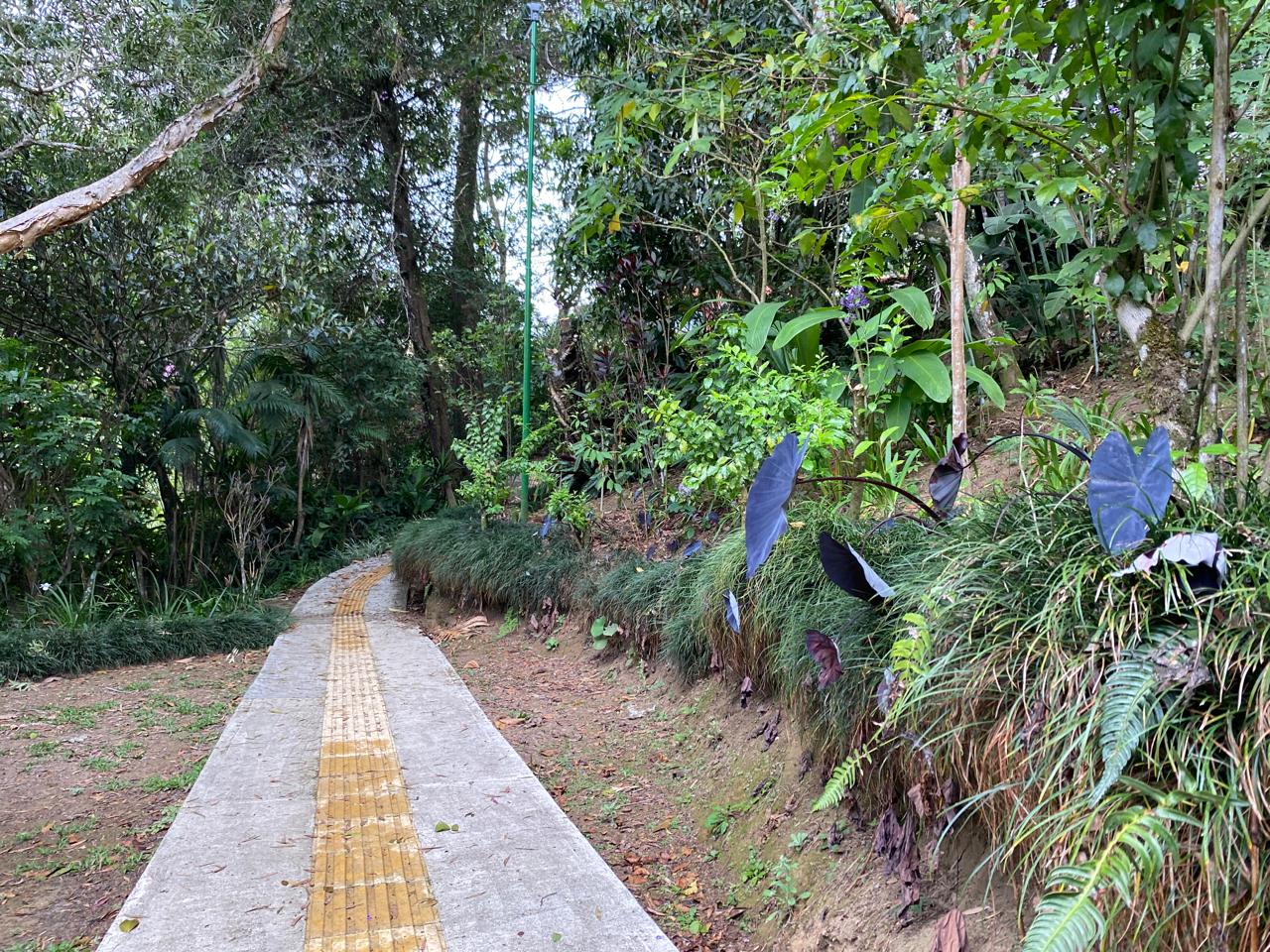 Gimnasio al aire libre