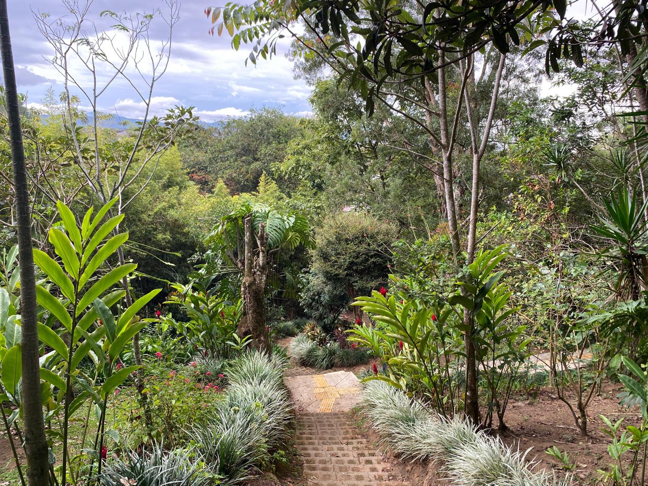 Vegetación silvestre y fauna