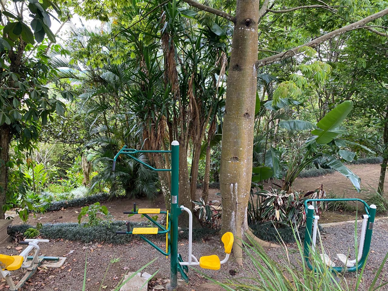 Gimnasio al aire libre