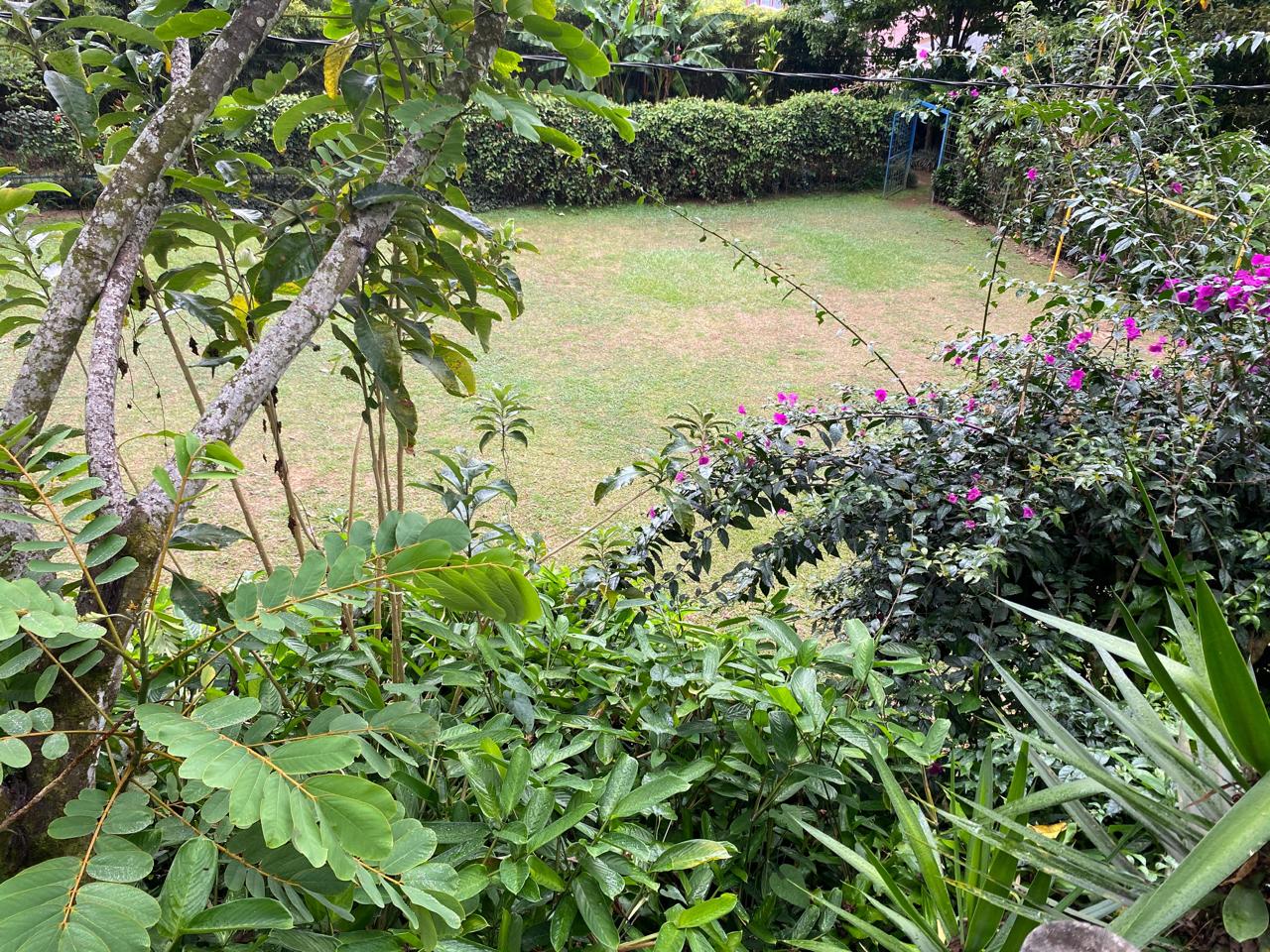 Parque infantil y áreas recreativas