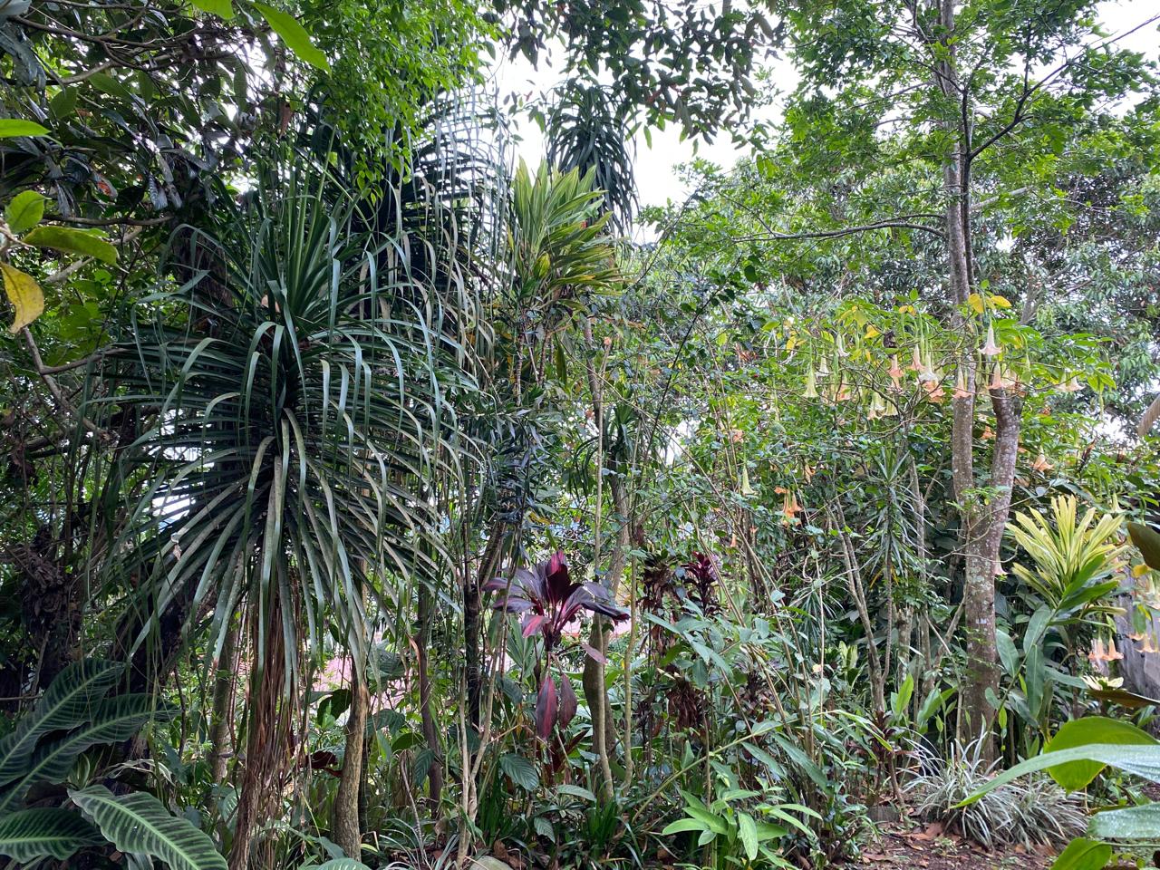 Área verde recreativa y parque